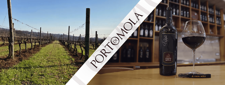 Le caratteristiche dell'Aglianico, Vino Nobile del Sud