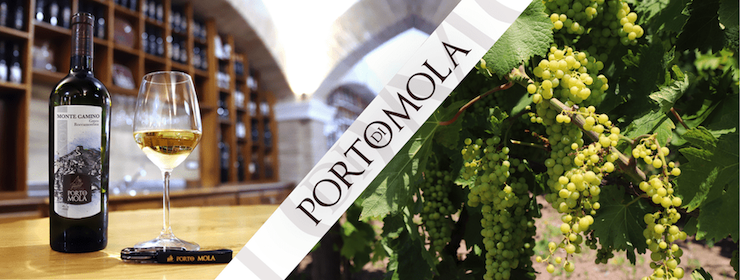 5 curiosità sul Vitigno Greco