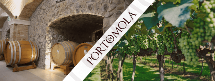 Vendemmia 2020: I Frutti Della Nostra Terra