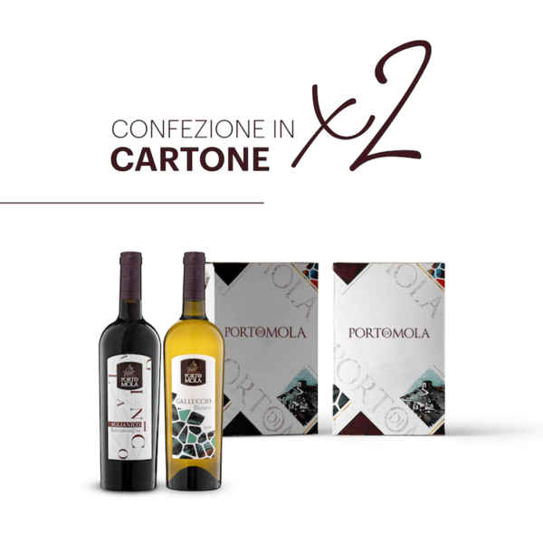 Box In Cartone 2 Bottiglie