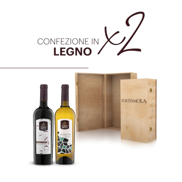 Box In Legno 2 Bottiglie