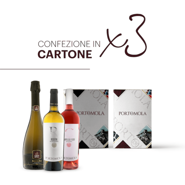 Box In Cartone 3 Bottiglie