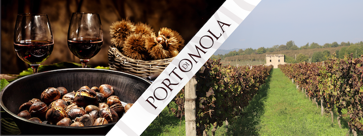 Vendemmia 2020: Italia Primo Produttore al Mondo