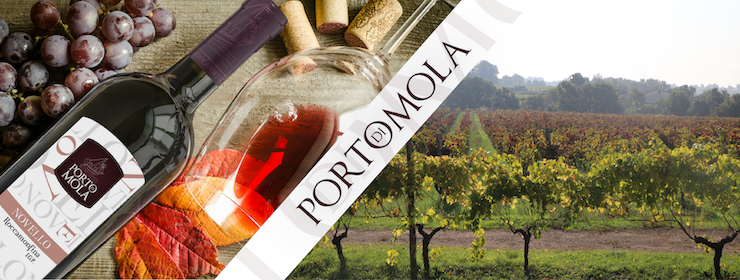 Novembre, il mese del Vino Novello