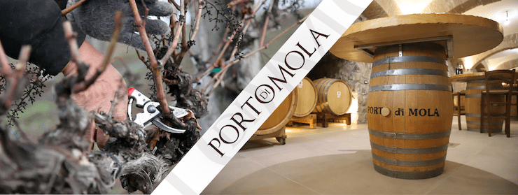 La potatura della vite: il metodo Guyot