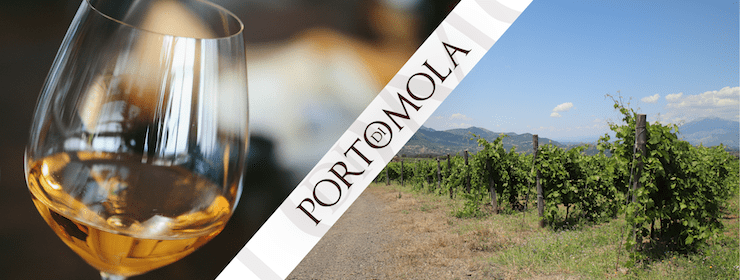 Falanghina: la storia e i migliori abbinamenti gastronomici