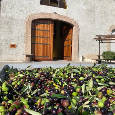 WhatsApp Image 2019-10-16 at 15.11.59(1)