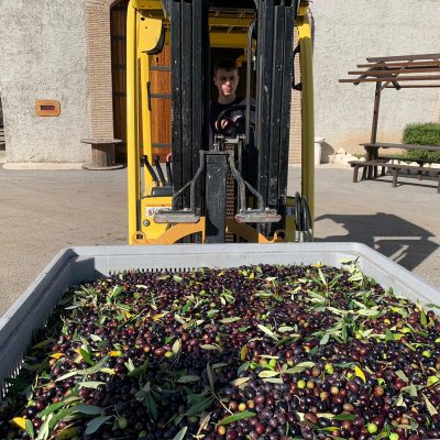 WhatsApp Image 2019-10-16 at 15.12.00