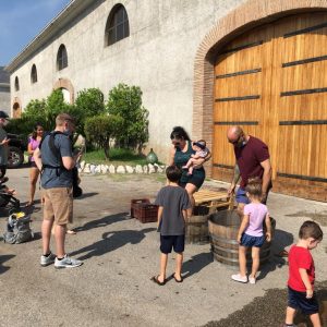 WhatsApp Image 2020-09-20 at 17.15.09-6