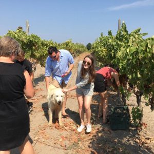 WhatsApp Image 2020-09-20 at 17.15.54-2