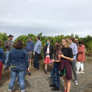 WhatsApp Image 2020-09-27 at 08.49.38