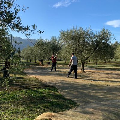 WhatsApp Image 2020-10-28 at 15.15.17-2