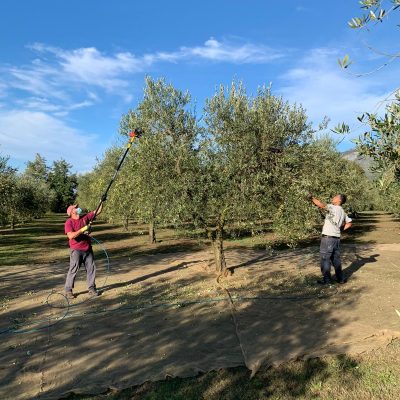 WhatsApp Image 2020-10-28 at 15.15.17-3