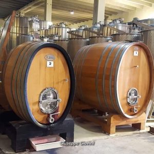 WhatsApp Image 2020-12-18 at 09.27.20-3