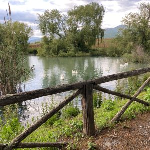 WhatsApp Image 2021-05-11 at 09.52.41 (3)