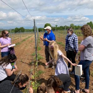 tour-con-visita-guidata-in-vigna